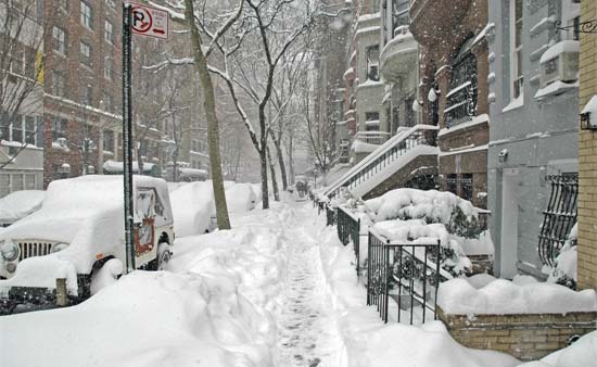 Snow Storm Central Park New York City